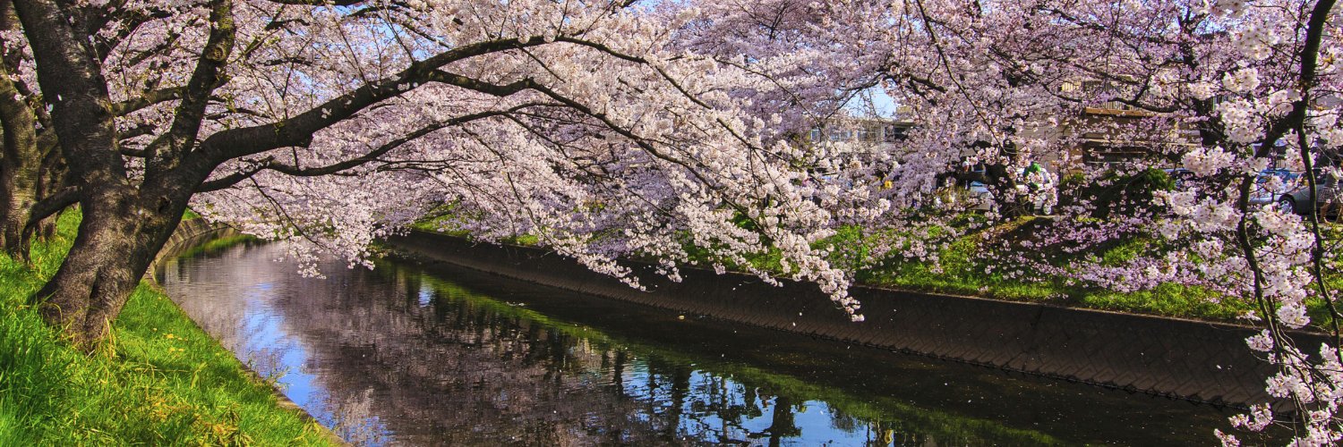 Nature Japan's banner