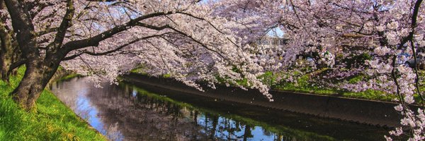 NatureJapan Profile Banner