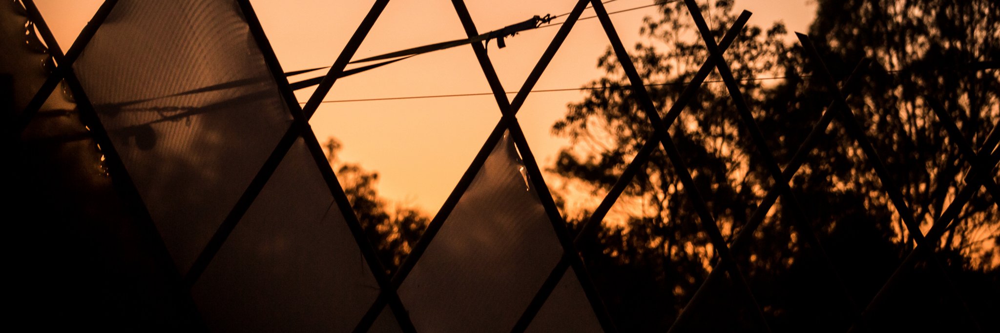 Earth Frequency banner