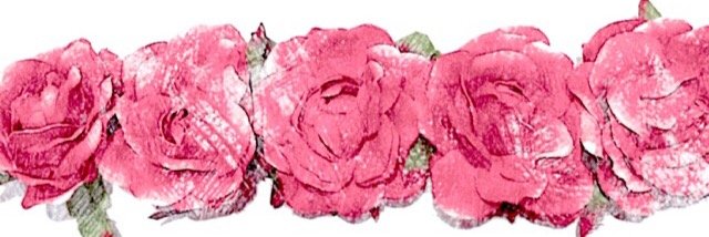 novaa25's profile banner image