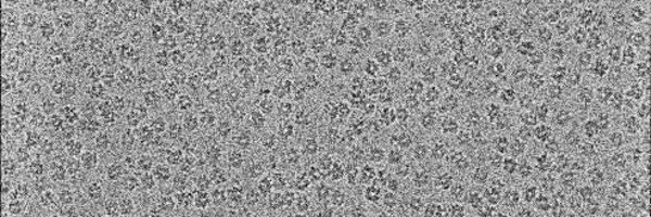 Sandate_C Profile Banner