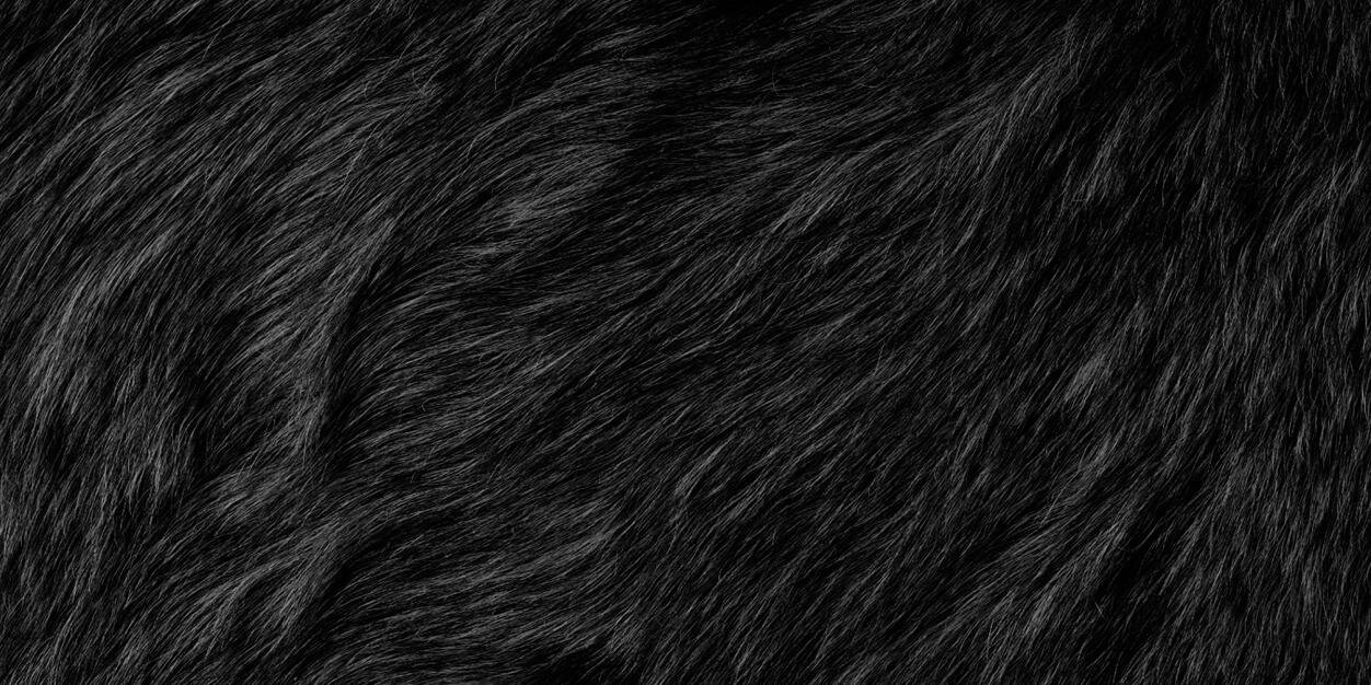 apecreative's profile banner image