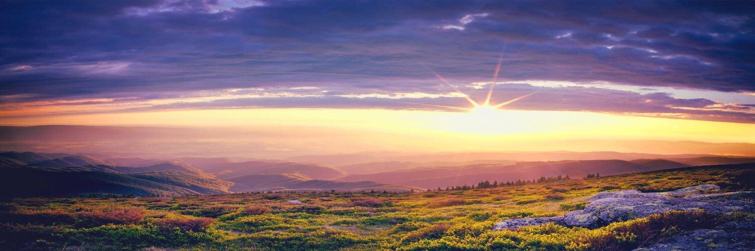 feelinglomo's profile banner image