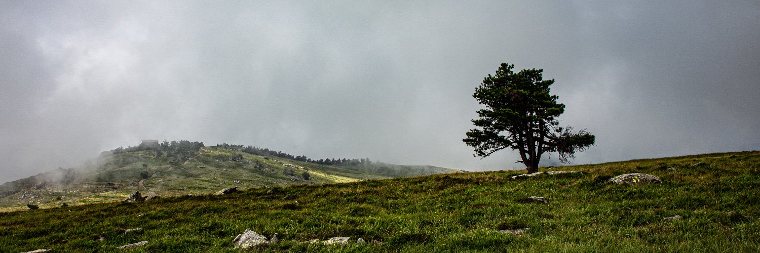 massimobarnieri's profile banner image