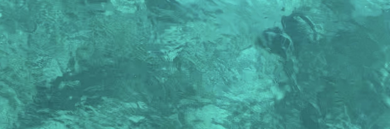 annephetamin's profile banner image