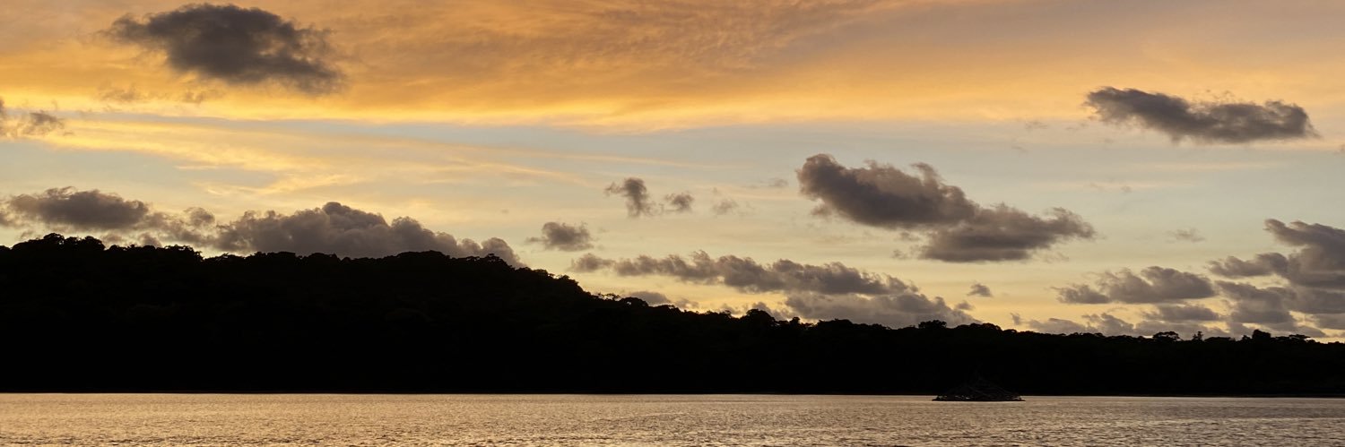 tiiaaw's profile banner image