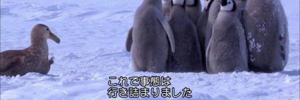 syejy's profile banner image