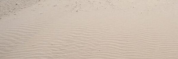 surf30 Profile Banner