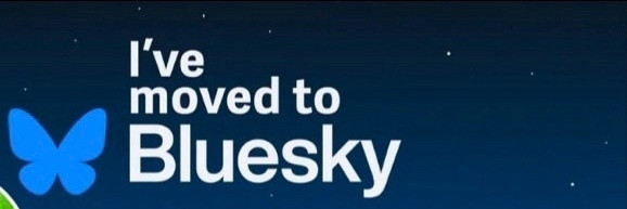 Vicki the cats' parent banner