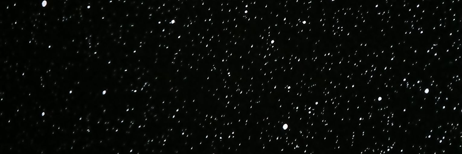 janinecgn's profile banner image