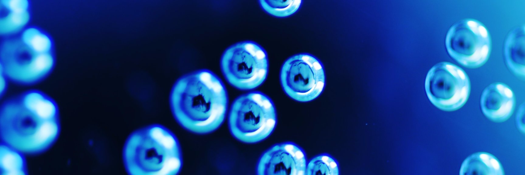 asuka@マルシア banner