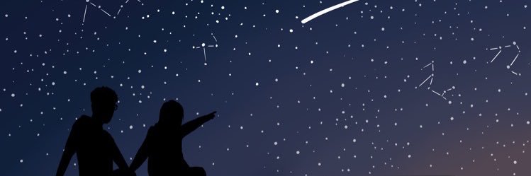 Burdy 🌱 banner