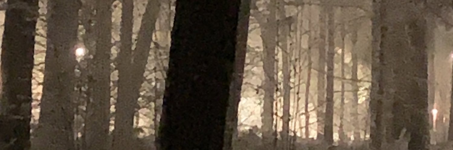 svanhild_h's profile banner image