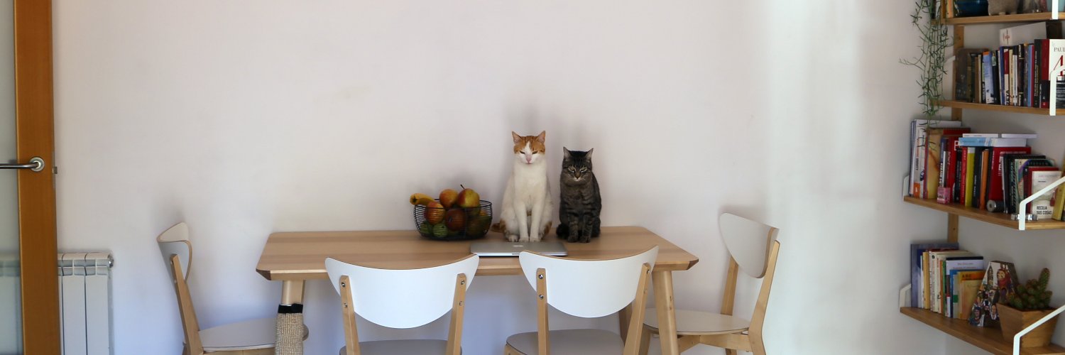 Aleida 🇵🇸 banner