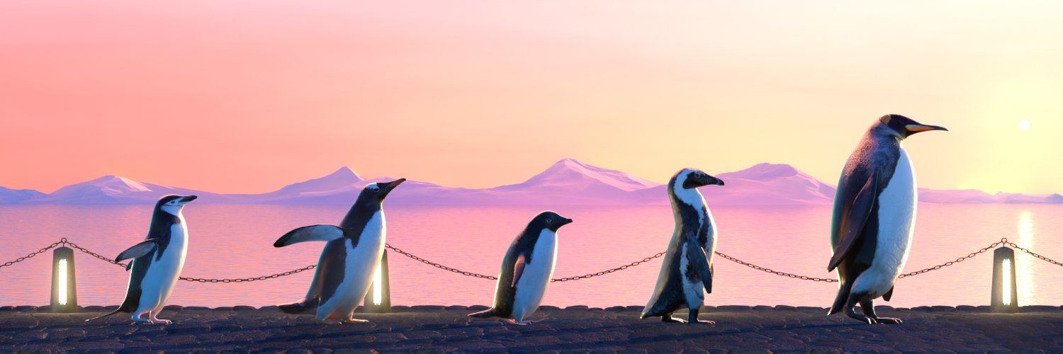 ROCKET PENGWIN banner