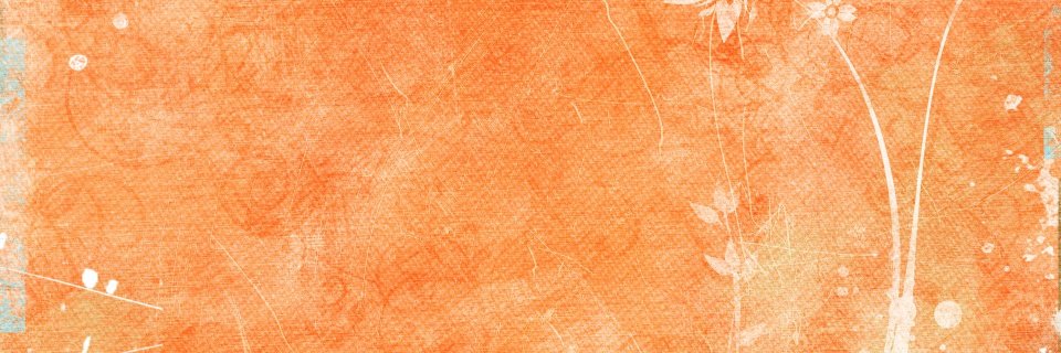 MullerLin's profile banner image