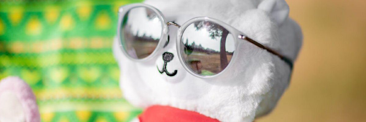 enofauzy's profile banner image