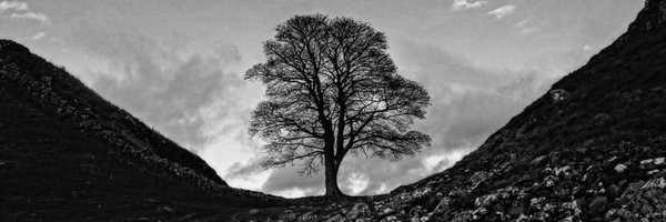 psmorrison Profile Banner