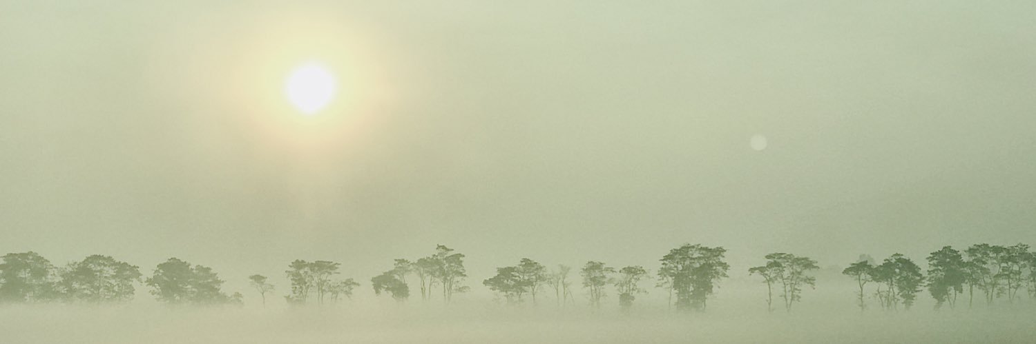 medarsm's profile banner image