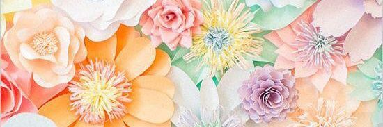 natasyacha's profile banner image