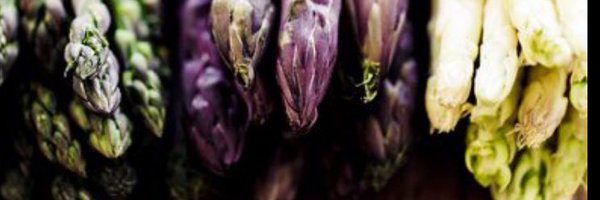 Skidoo Profile Banner