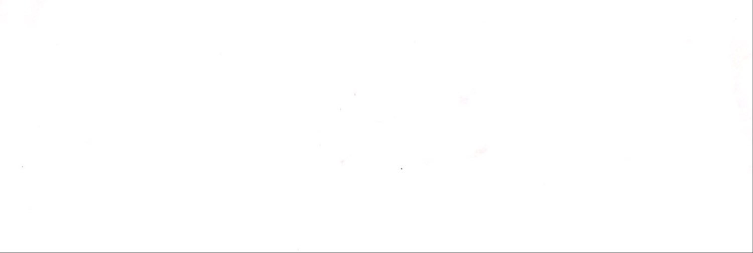 zuwsa's profile banner image