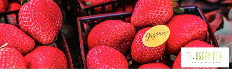 organicsnet's profile banner image