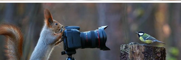 lesliealee's profile banner image