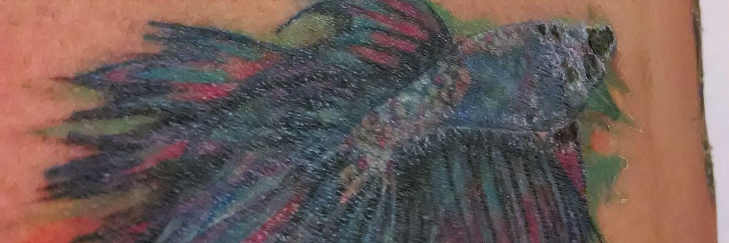 Grinchosaurio's profile banner image