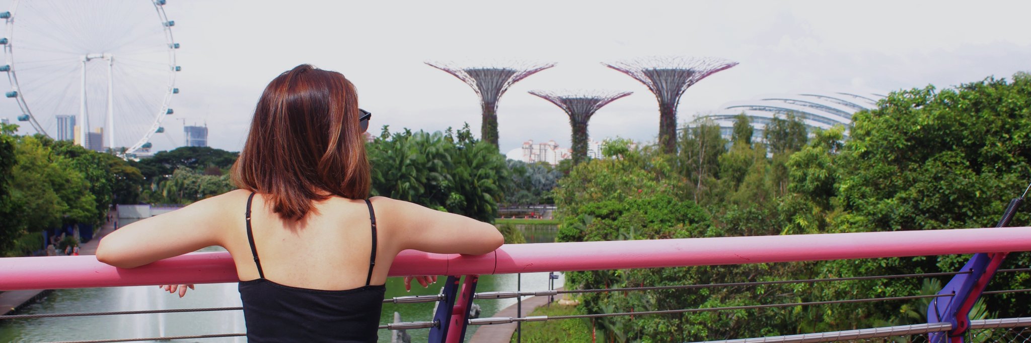 skkaee's profile banner image