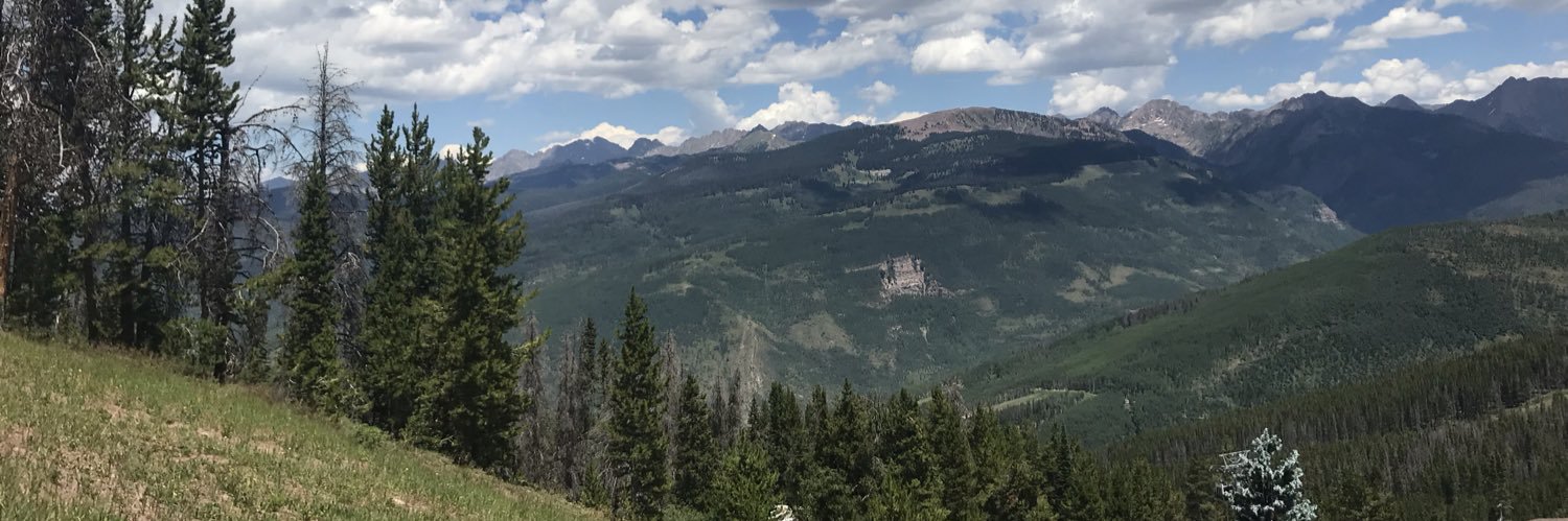 Elizabeth Cox banner