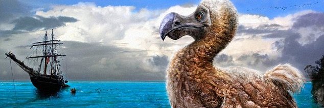 antifa@lpacheco.bsky.social banner