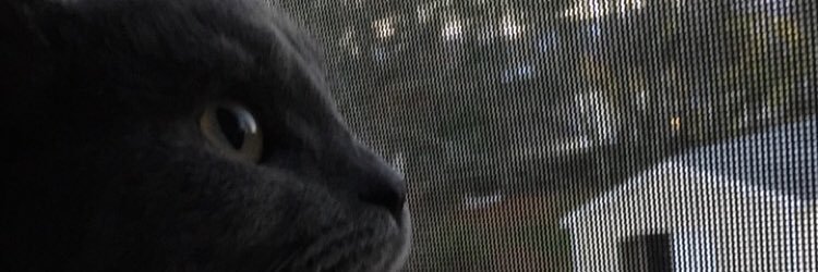 JoshParado's profile banner image