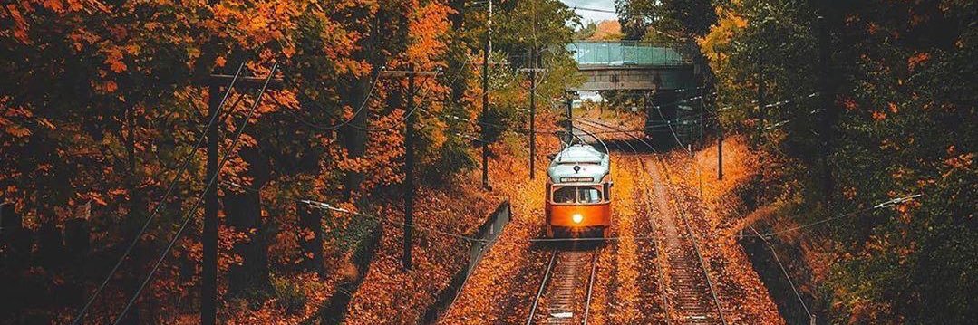Ian Ollis 🌐 banner