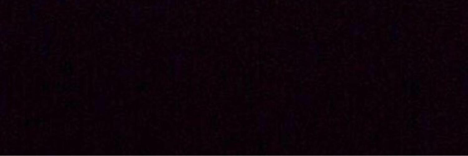 BieberJasmineV's profile banner image