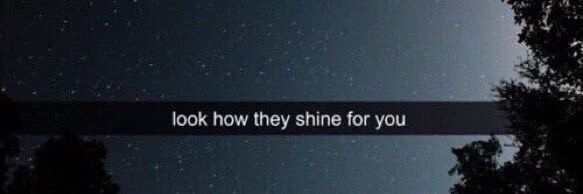 Sarah 🌻 💙💛 banner