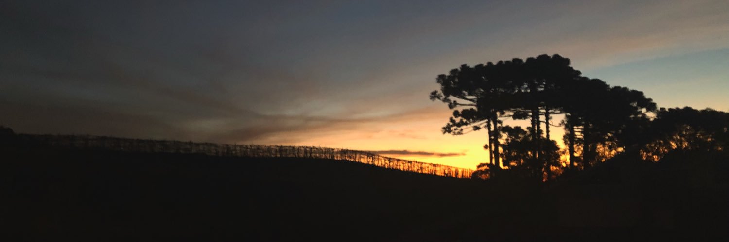 vanellibraga's profile banner image
