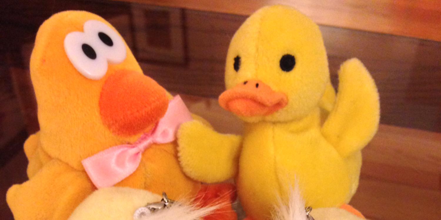 mayormcduck's profile banner image