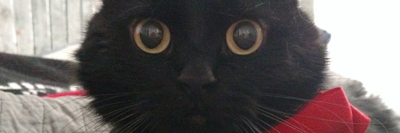 justineface's profile banner image