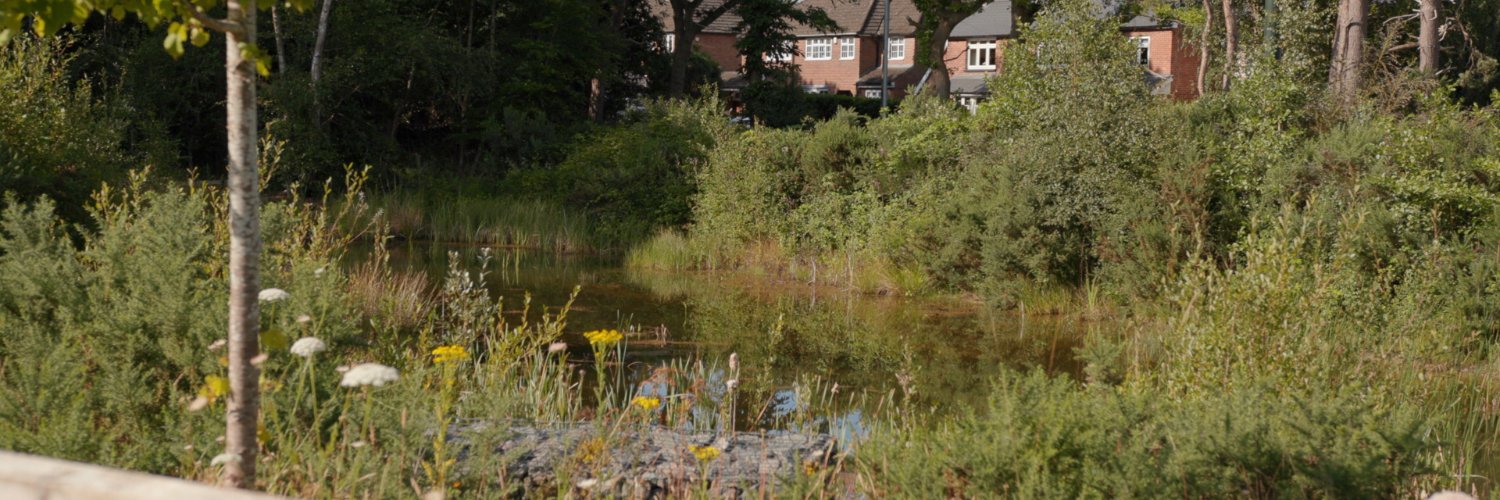 thelandtrust's profile banner image