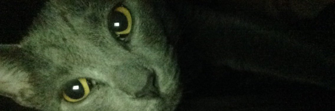 KenzeeWilder's profile banner image