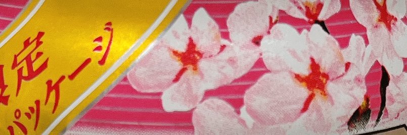 sakura398181's profile banner image