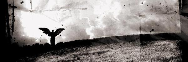 seththeking's profile banner image