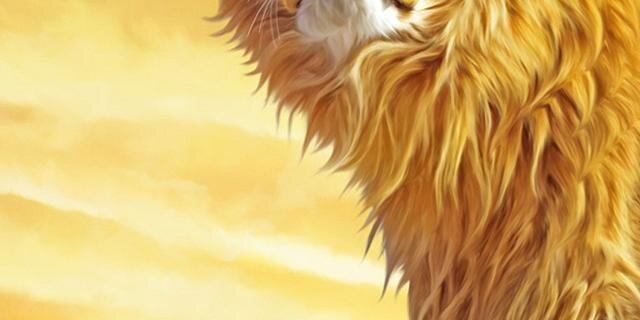 Raazalok's profile banner image