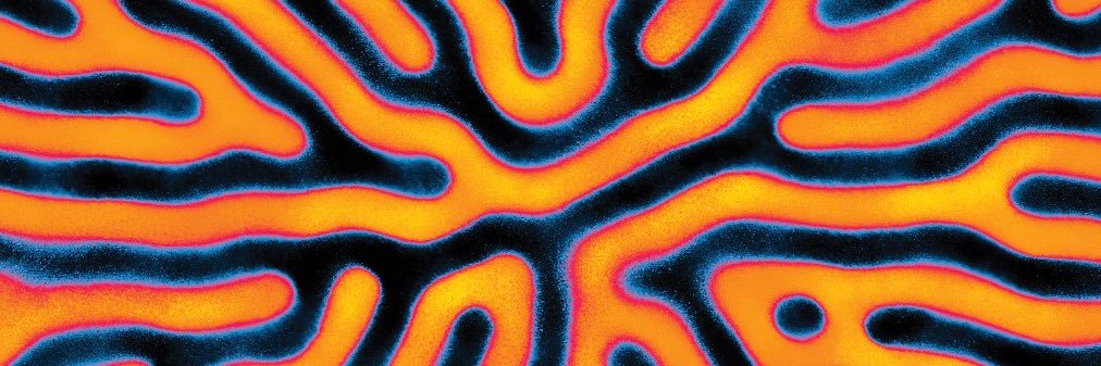 ᴛᴏᴅᴅʏ ؞ banner