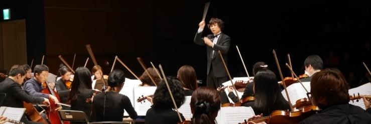 violin76's profile banner image