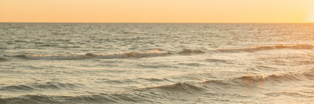 Paul Wise banner
