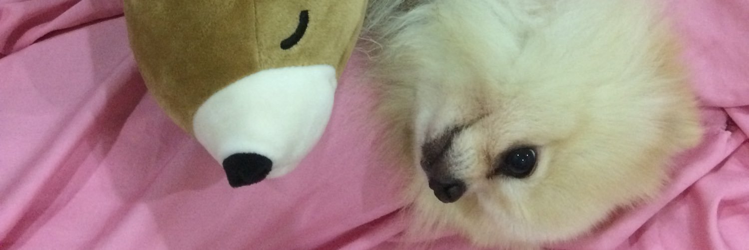penguinoho's profile banner image