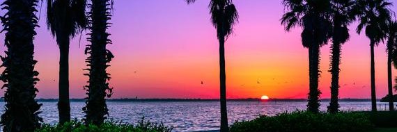 ECfl's profile banner image