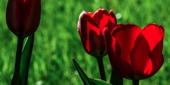 WashtenawNow's profile banner image